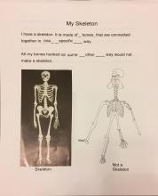 Skeleton page